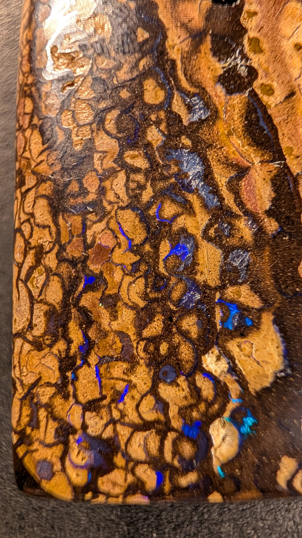 Boulder Opal Kette, 77 Carat, türkisfarbene Partien im Kupferbraun – Ansicht 5