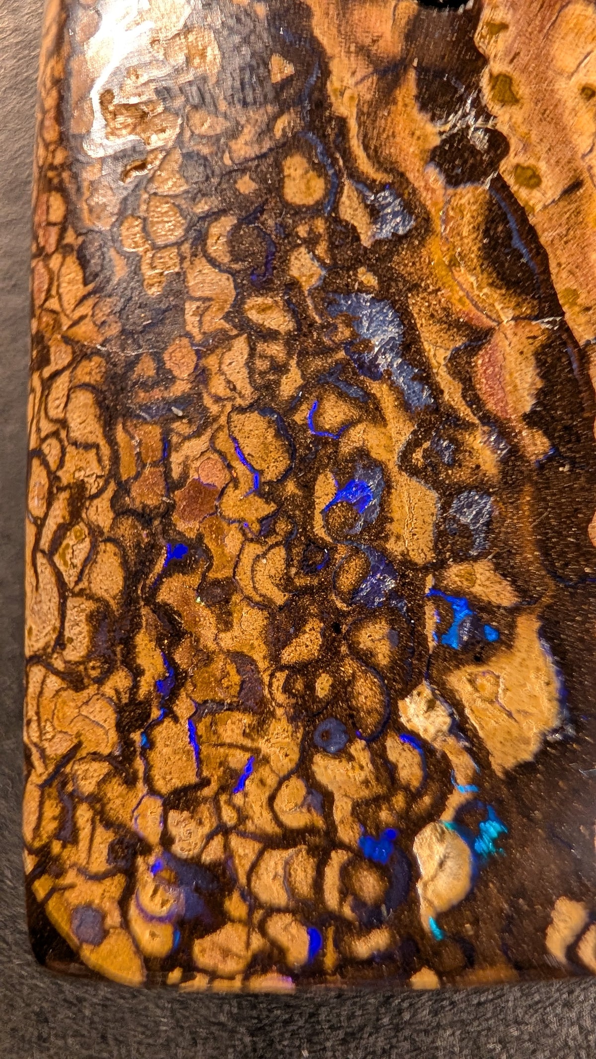 Boulder Opal Kette, 77 Carat, türkisfarbene Partien im Kupferbraun – Ansicht 5